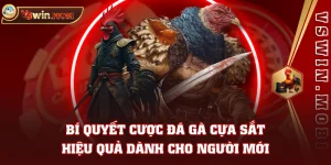 Bí Quyết Cược Đá Gà Cựa Sắt Hiệu Quả Dành Cho Người Mới