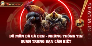 Bộ Môn Đá Gà Đen - Những Thông Tin Quan Trọng Bạn Cần Biết