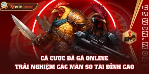 Cá Cược Đá Gà Online - Trải Nghiệm Các Màn So Tài Đỉnh Cao