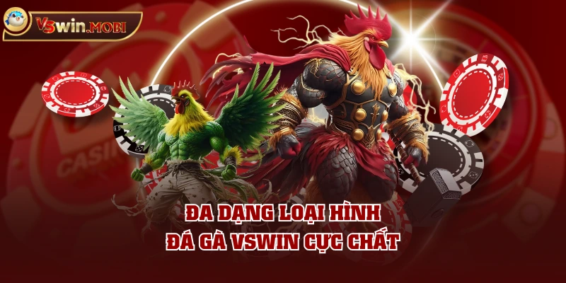 Đa dạng loại hình đá gà VSWIN cực chất Đa dạng loại hình đá gà VSWIN cực chất