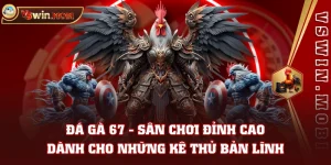 Đá Gà 67 - Sân Chơi Đỉnh Cao Dành Cho Những Kê Thủ Bản Lĩnh