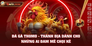 Đá Gà Thomo - Thánh Địa Dành Cho Những Ai Đam Mê Chọi Kê