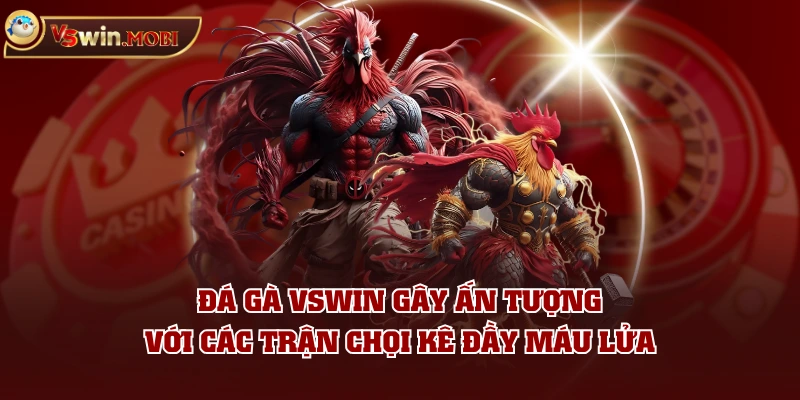 Đá Gà VSWIN gây ấn tượng với các trận chọi kê đầy máu lửa