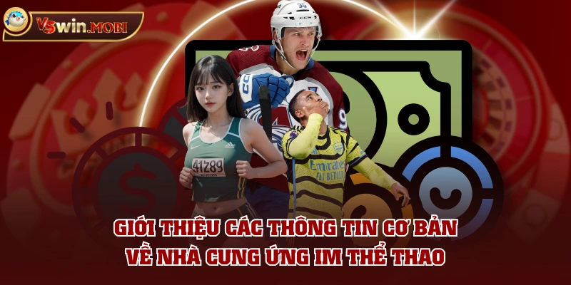 Giới thiệu các thông tin cơ bản về nhà cung ứng IM Thể Thao Giới thiệu các thông tin cơ bản về nhà cung ứng IM Thể Thao