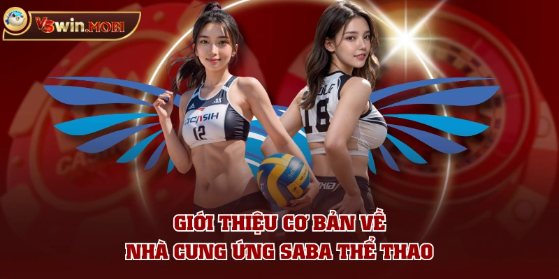 Giới thiệu cơ bản về nhà cung ứng SABA Thể Thao Giới thiệu cơ bản về nhà cung ứng SABA Thể Thao