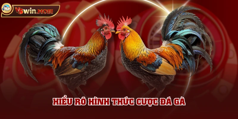 Hiểu rõ hình thức cược đá gà Hiểu rõ hình thức cược đá gà