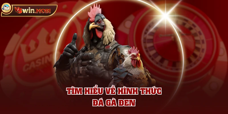 Tìm hiểu về hình thức đá gà đen Tìm hiểu về hình thức đá gà đen