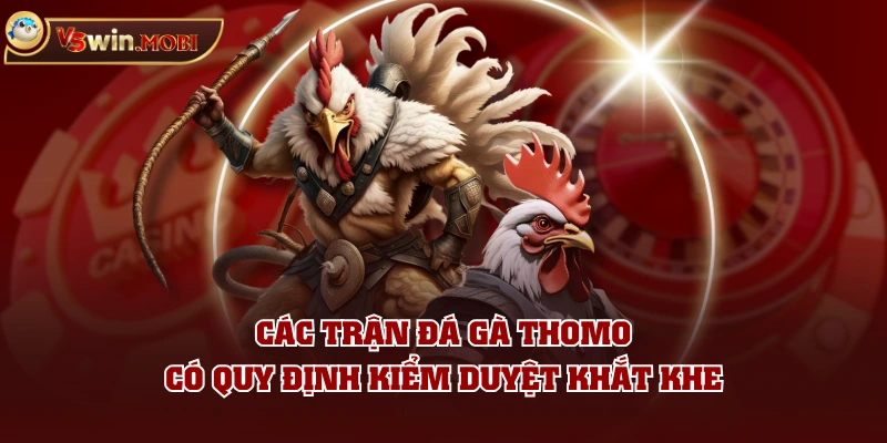 Các trận đá gà Thomo có quy định kiểm duyệt khắt khe Các trận đá gà Thomo có quy định kiểm duyệt khắt khe