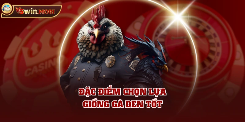 Đặc điểm chọn lựa giống gà đen tốt Đặc điểm chọn lựa giống gà đen tốt