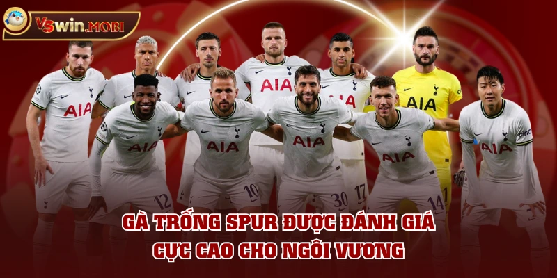 Gà Trống Spur được đánh giá cực cao cho ngôi vương Gà Trống Spur được đánh giá cực cao cho ngôi vương
