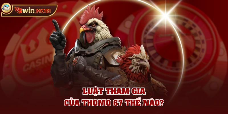 Luật tham gia của Thomo 67 thế nào? Luật tham gia của Thomo 67 thế nào?