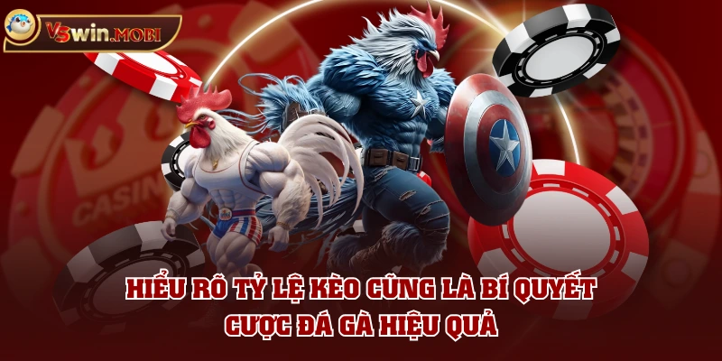 Hiểu rõ tỷ lệ kèo cũng là bí quyết cược đá gà hiệu quả Hiểu rõ tỷ lệ kèo cũng là bí quyết cược đá gà hiệu quả