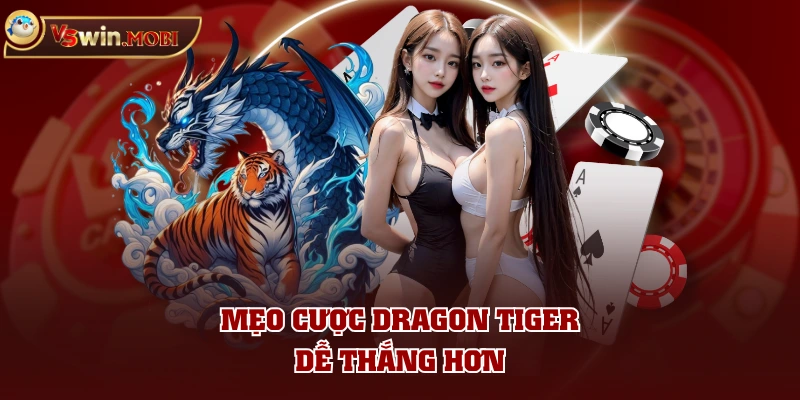 Mẹo cược Dragon Tiger dễ thắng hơn Mẹo cược Dragon Tiger dễ thắng hơn