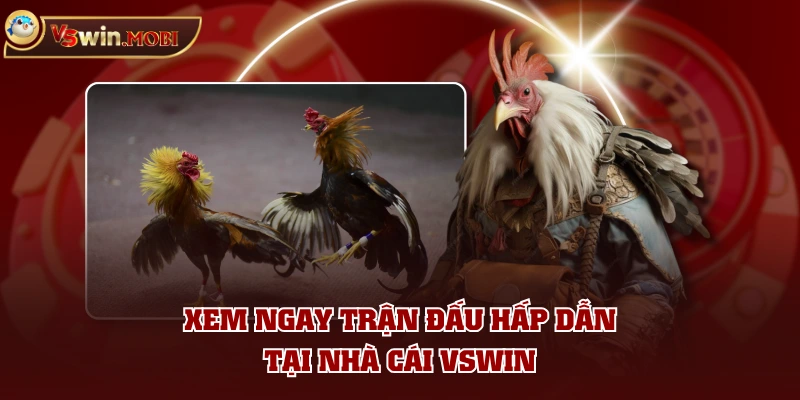 Xem ngay trận đấu hấp dẫn tại nhà cái VSWIN Xem ngay trận đấu hấp dẫn tại nhà cái VSWIN